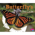 A Butterfly's Life Cycle - Paperback