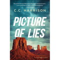Picture of Lies - Paperback
