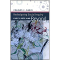 Redesigning Social Inquiry: Fuzzy Sets and Beyond - Paperback