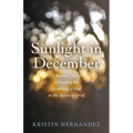 Sunlight in December: A Mother's Story of Finding the Goodness of God in the Storm of Grief - Paperback