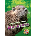 Muskrats - Library Binding