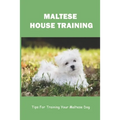 Maltese House Training: Tips For Training Your Maltese Dog: How To Train A Maltese Puppy To Sit - Paperback