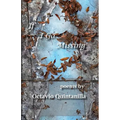 If I Go Missing - Paperback