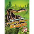 Common Garter Snakes - Library Binding