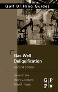 Gas Well Deliquification - Hardcover