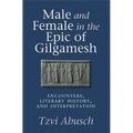 Male and Female in the Epic of Gilgamesh: Encounters, Literary History, and Interpretation - Paperback