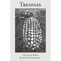 Trespass - Paperback