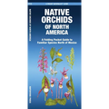 Native Orchids of North America - Paperback