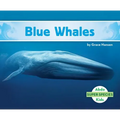 Blue Whales - Library Binding