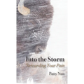 Into The Storm: Stewarding Your Pain - Paperback
