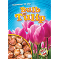 Bulb to Tulip - Library Binding