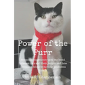 Power Of The Purr: A fascinating journey into the bond between cats and their people and how to resolve feline behaviour problems kindly - Paperback