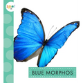 Blue Morphos - Paperback