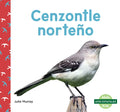Cenzontle Norteño (Northern Mockingbirds) - Library Binding