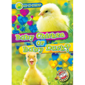 Baby Chicken or Baby Duck? - Library Binding