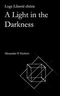 Loge Liberté chérie: A Light in the Darkness - Paperback