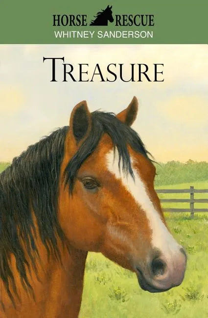 Horse Rescue: Treasure - Paperback
