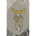 Tooth-Bird from Nextaro - Paperback