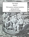 Aeneid Book 6: With scansion, interlinear translation, parsing and notes - Paperback