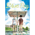 Blue Flag, Vol. 3 - Paperback
