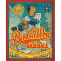 Barbed Wire Baseball: How One Man Brought Hope to the Japanese Internment Camps of WWII - Paperback