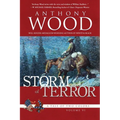 Storm of Terror: A Story of the Civil War - Paperback