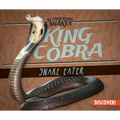 King Cobra: Snake Eater - Library Binding