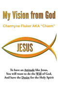 My Vision From God - Paperback