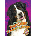Bernese Mountain Dogs - Library Binding