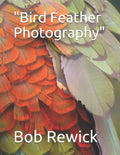 Bird Feather Photography - Paperback