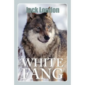 White Fang - Paperback