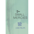 The Domain of Small Mercies - Paperback