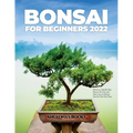 Bonsai for Beginners 2022: Discover a Step-By-Step Process To Grow and Take Care of a Bonsai Tree For The First Time - Paperback