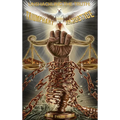 Unshackling The Truth: Triumphant Over Injustice - Hardcover