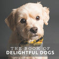 The Book of Delightful Dogs: Picture Book For Seniors With Dementia (Alzheimer's) - Paperback