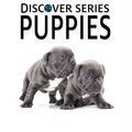 Puppies - Hardcover