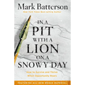 In a Pit with a Lion on a Snowy Day: How to Survive and Thrive When Opportunity Roars - Paperback