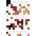El Abuso Doméstico: Reconoce, Responde, Rescata - Paperback