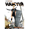 Haikyu!!, Vol. 19 - Paperback