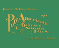 Pan-American Buffalo and Niagara Falls: A Picturesque Souvenir - Hardcover