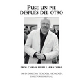 Puse Un Pie Después Del Otro: Dr. En Derecho, Teologia, Psicología, Director Espiritual. - Hardcover