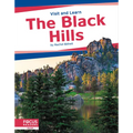 The Black Hills - Paperback