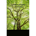 A Work in Progress... - Paperback