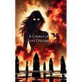 A Chorus of Lost Dreams A collection of poems - Stories of women's fate that are often buried or left untold. - Paperback