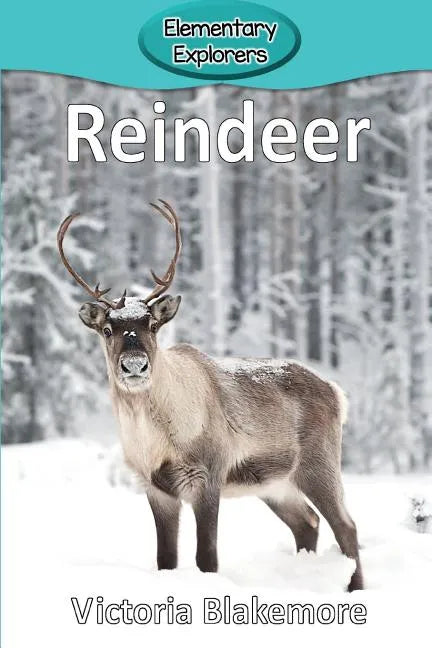 Reindeer - Paperback
