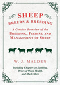 Sheep Breeds and Breeding - A Concise Overview of the Breeding, Feeding and Management of Sheep, Including Chapters on Lambing, Prices of Wool, Health - Paperback