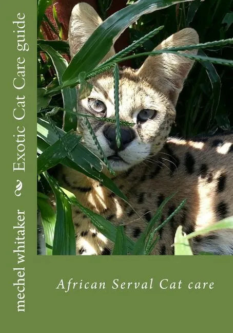 Exotic Cat Care guide: African Serval Cat care - Paperback