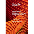 Investigating Plagiarism in Second Language Writing - Paperback