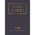 Small Cures - Paperback