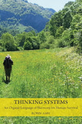 Thinking Systems - Paperback